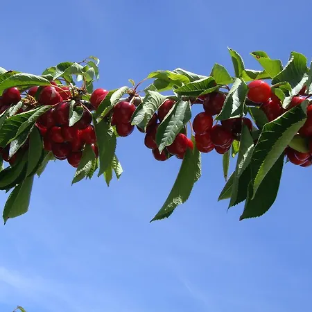 Panzió Casa Do Cimo 3*