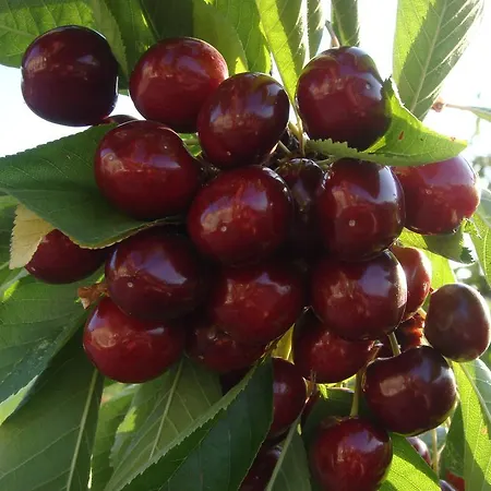 Nocleg ze śniadaniem Casa Do Cimo Fundão