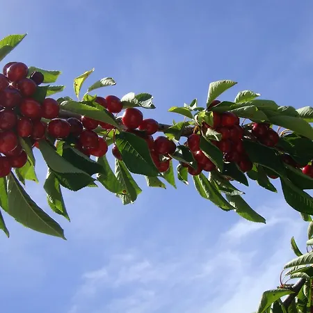 Casa Do Cimo 3* Fundão