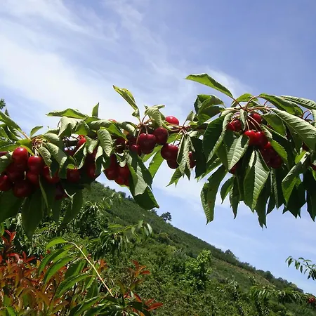 Panzió Casa Do Cimo 3*
