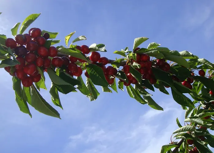 Casa Do Cimo 3* Фундан